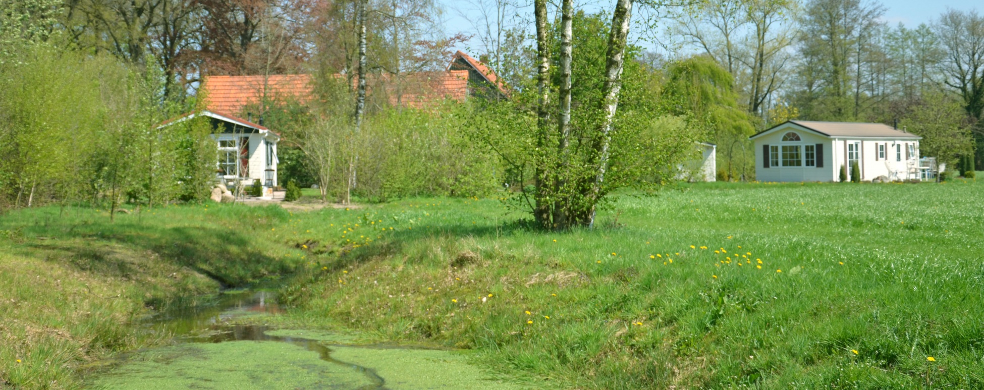 Dagdromend ontspannen